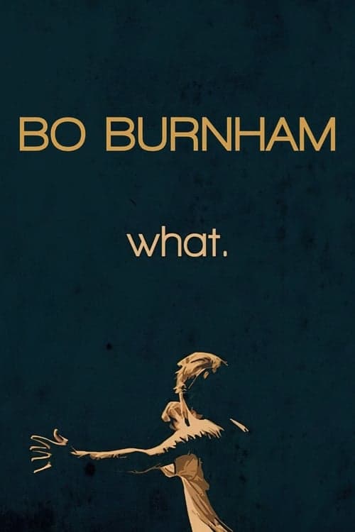 Bo Burnham: What. (2013) poster