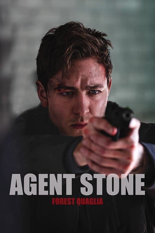 Agent Stone (2022) poster