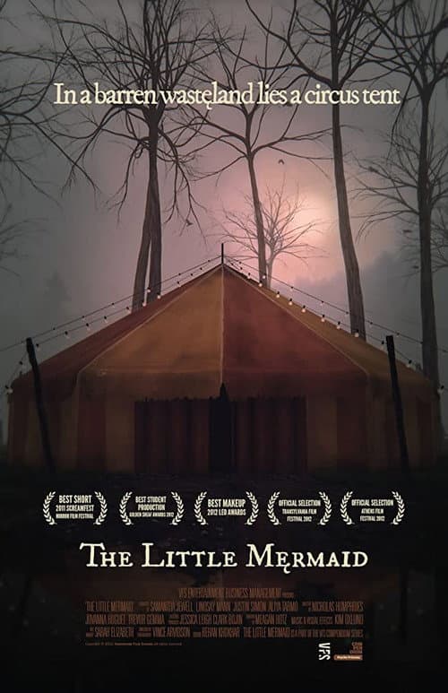 The Little Mermaid (2011) poster