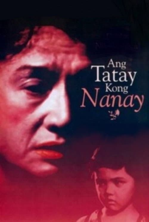 Ang Tatay Kong Nanay (1978) poster