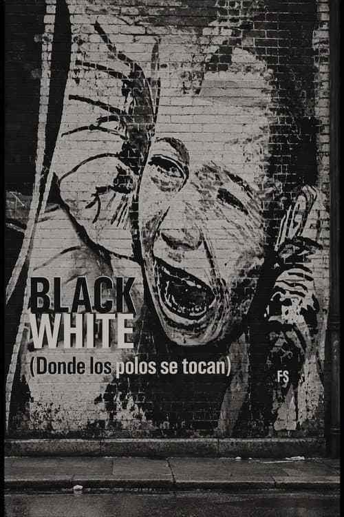 Blackwhite. Donde los polos se tocan (2004) poster
