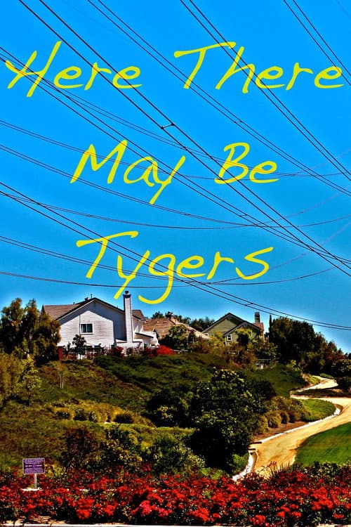 Here There May Be Tygers (2013) poster