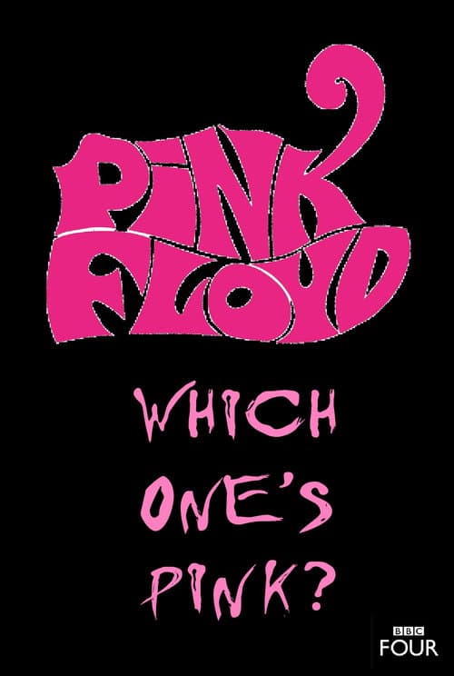 The Pink Floyd Story: Which One's Pink? (2007) poster