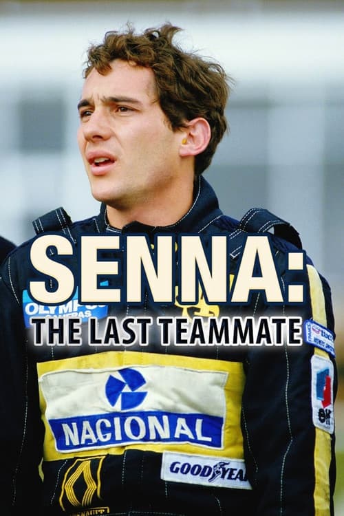 The Last Teammate (2014) poster
