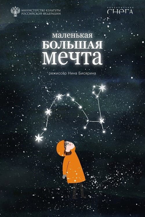 Маленькая большая мечта (2020) poster