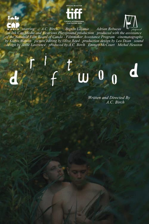 Driftwood (2026) poster