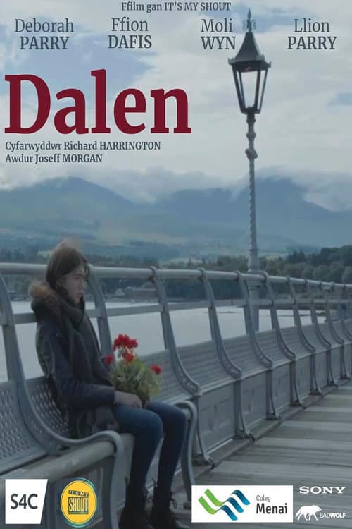 Dalen (2021) poster