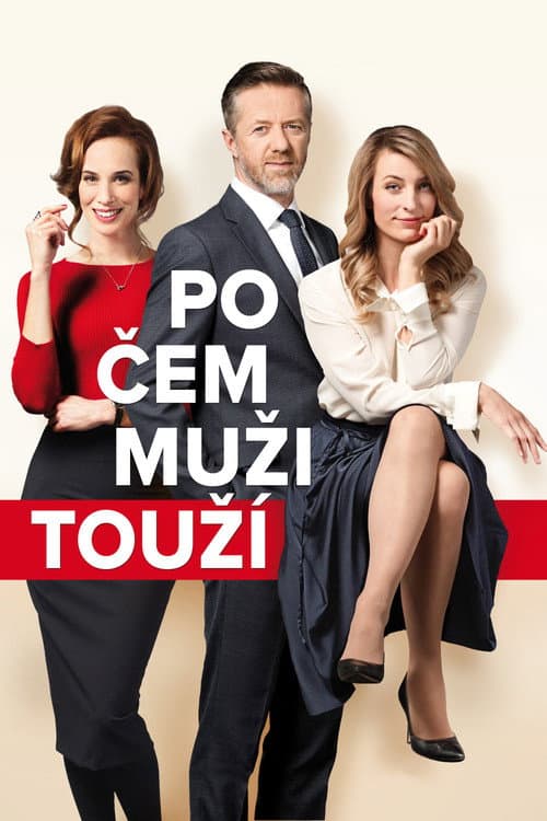 Po čem muži touží (2018) poster