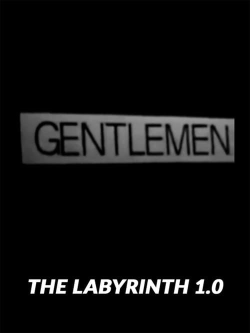 The Labyrinth 1.0 (2017) poster