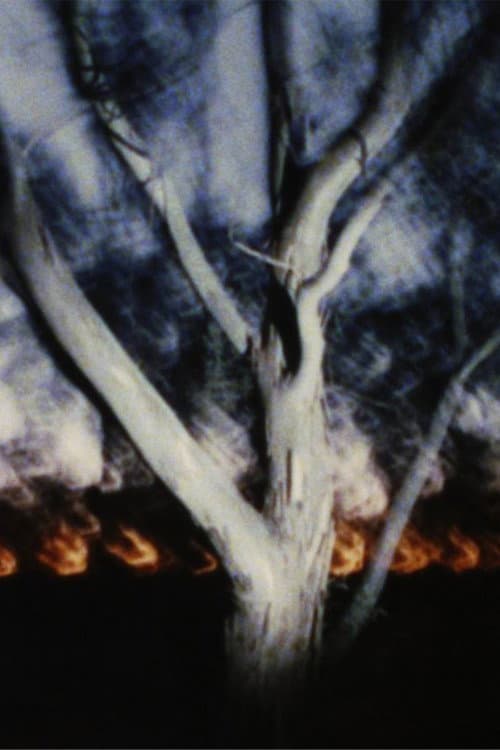The Land at Night (2024) poster