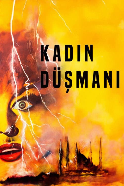 Kadın Düşmanı (1967) poster