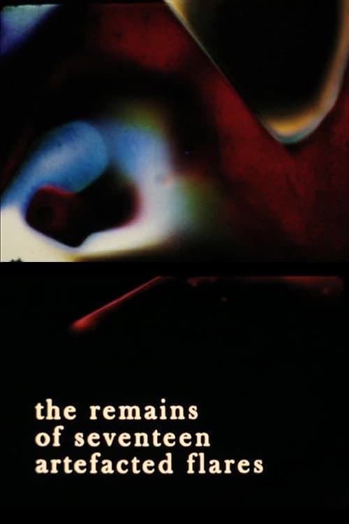 the remains of seventeen artefacted flares (2011) poster