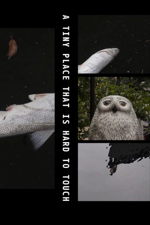 A Tiny Place That Is Hard to Touch (2019) poster