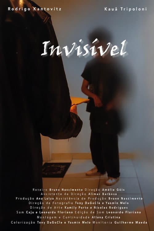 Invisivel (2025) poster