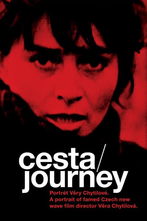 Cesta – portrét Věry Chytilové (2004) poster