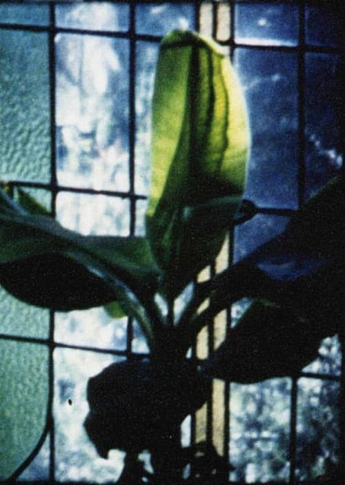 Articulated Image (1996) poster