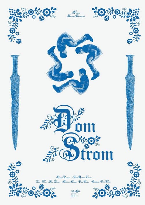 Dom Strom (2024) poster