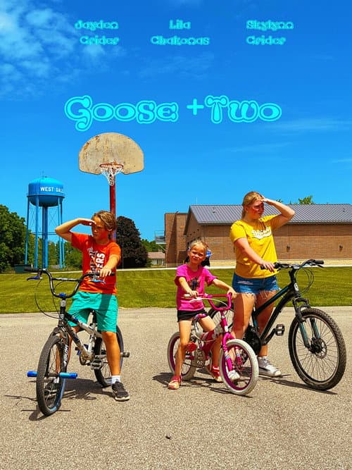 Goose + 2 (2024) poster