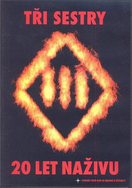 Tři sestry - 20 let naživu (2005) poster