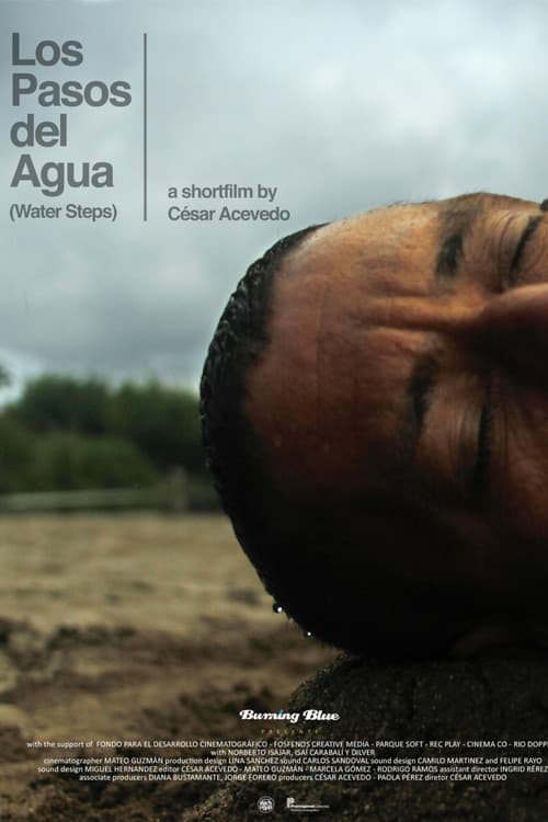 Los pasos del agua (2016) poster