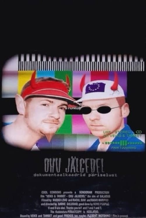 Veiks ja Tambet ... ohu jälgedel (2000) poster