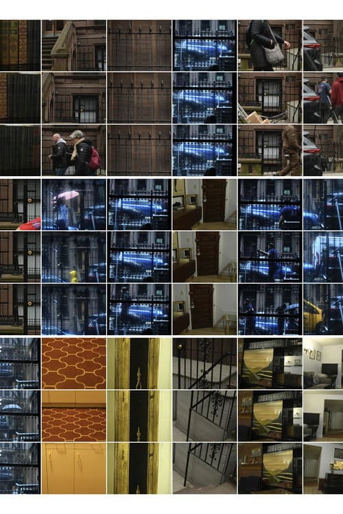 Interactions 27: New York Brownstone (2025) poster