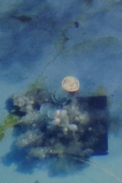 Contained Under Water (1980) poster