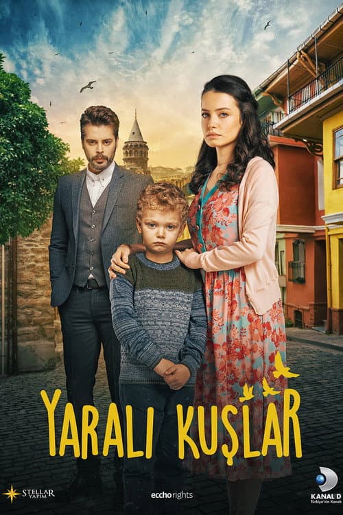 Yaralı Kuşlar (2019) poster
