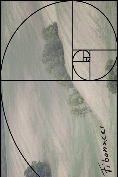Fibonacci (2020) poster