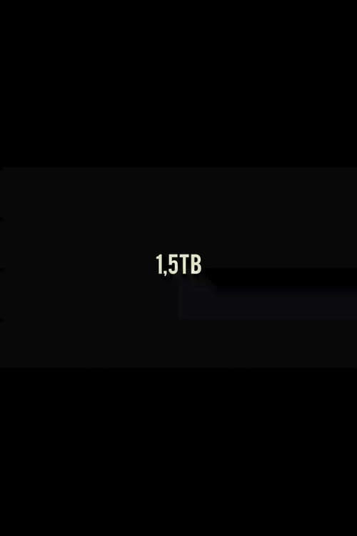 1,5TB (2013) poster