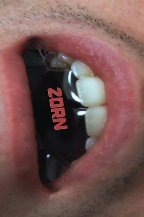 Zorn (2015) poster