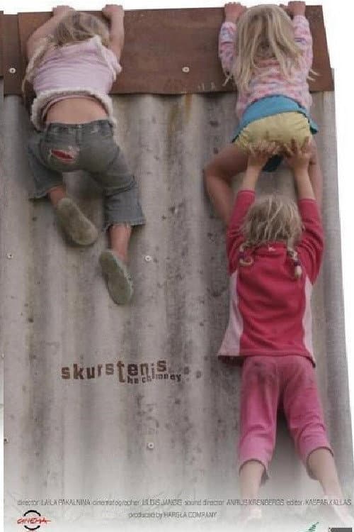 Skurstenis (2013) poster