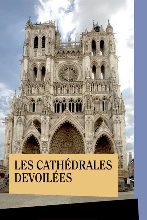 Les Cathédrales dévoilées (2010) poster