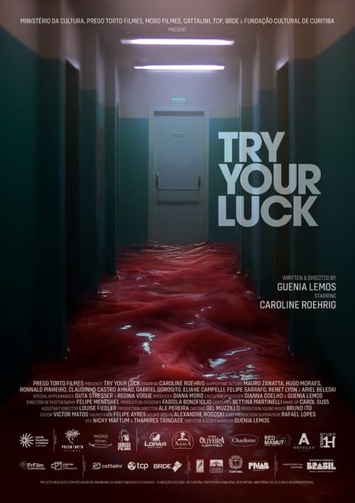 Try Your Luck (2025) poster