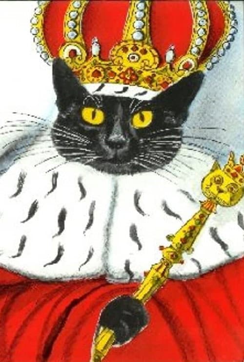King of the Cats (1984) poster