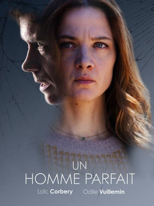 Un homme parfait (2019) poster