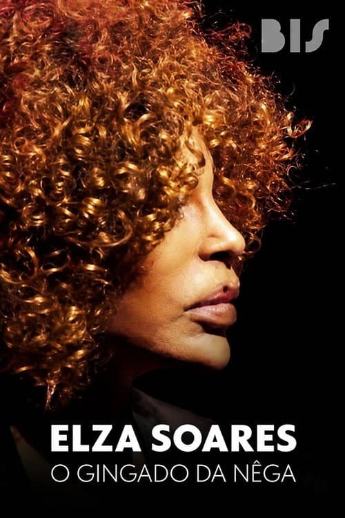Elza Soares: O Gingado da Nêga (2013) poster