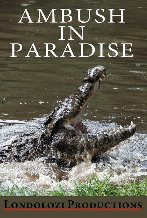Ambush in Paradise (1999) poster
