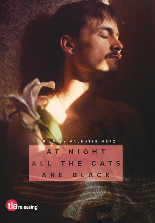 De noche los gatos son pardos (2023) poster