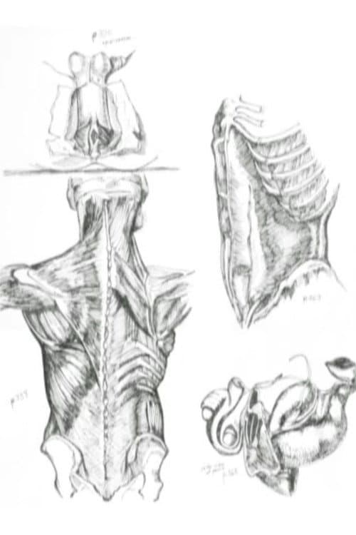 Médicalement (2005) poster