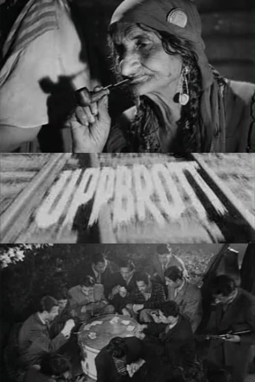 Uppbrott (1949) poster