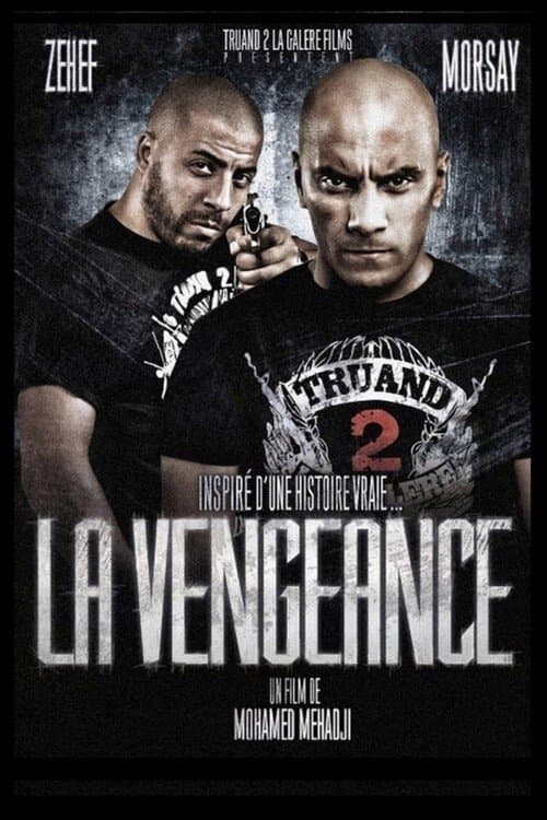 La Vengeance (2011) poster