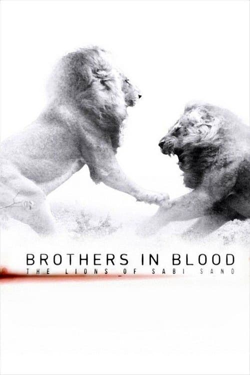 Brothers in Blood: The Lions of Sabi Sand (2015) poster