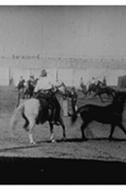 Buffalo Bill: lassage de chevaux (1897) poster