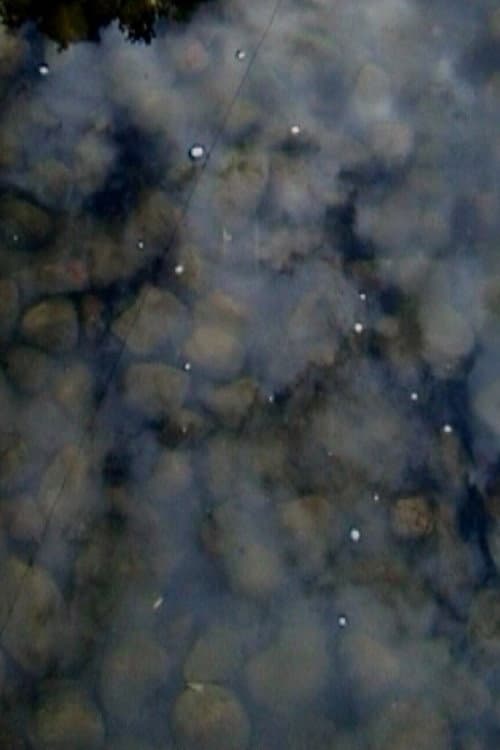 Drops on Marble (2003) poster