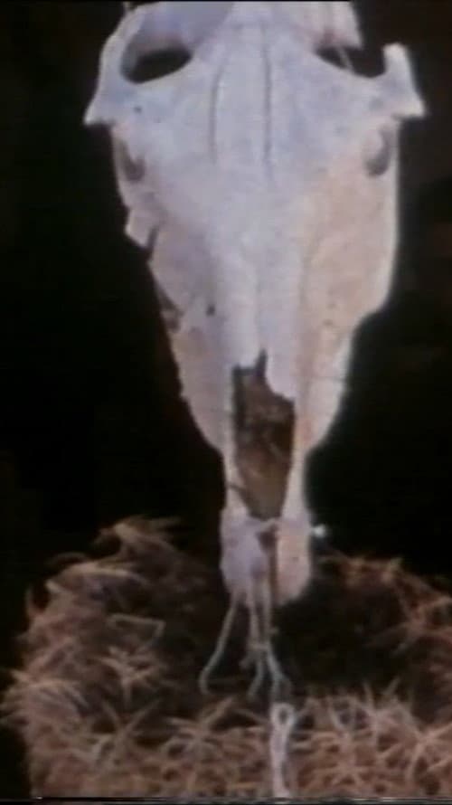 Göreme (1963) poster
