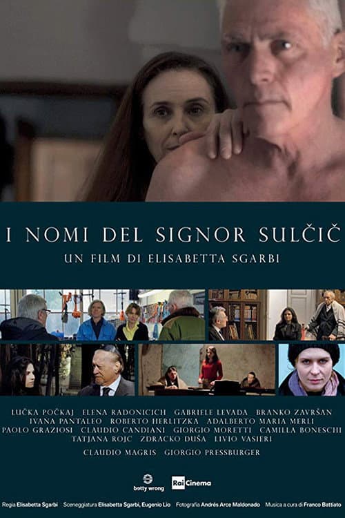 I nomi del signor Sulcic (2019) poster