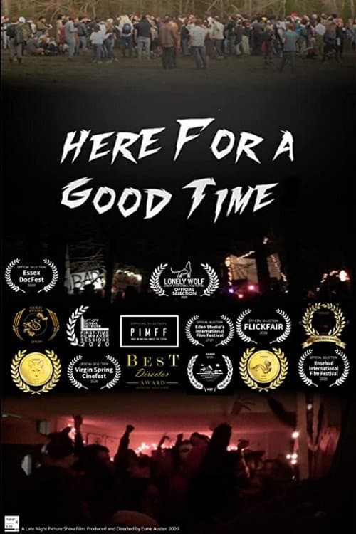 Here For A Good Time (2020) poster