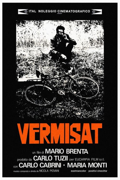 Vermisat (1974) poster