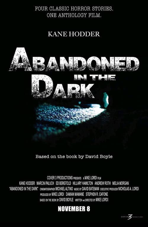 Abandoned in the Dark (2014) poster